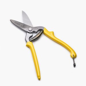 Snips/ Shears